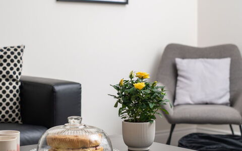 Field View: Mueble, Diseño De Interiores, Sofá, Casa, Sala, Mesa, Amortiguar, Textil, Arrojar La Almohada, Piso