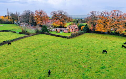 Cricketers' Cottage: Hierba, Verde, Pradera, Paisaje, Área Rural, Llanura, El Terreno Del Lote, Pasto, Prado, Campo