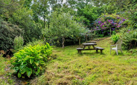 Millook Water: Naturaleza, Vegetación, Arbusto, Jardín, Planta De La Comunidad, El Terreno Del Lote, Cobertura Del Suelo, Área Rural, Primavera