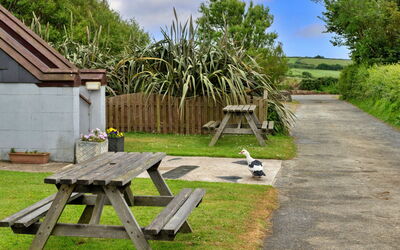 Squire, Quinceborough Farm