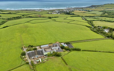 Squire, Quinceborough Farm