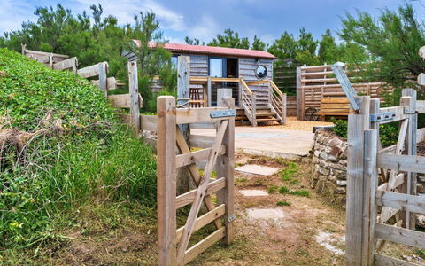 Manderley: Madera, El Terreno Del Lote, Área Rural, Cerca, Cabaña, Jardín, Paisajismo, Madera Dura