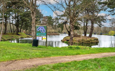 Pine Forest Lodge: Agua, Naturaleza, Banco, Corriente De Agua, Estanque, Lago, Reserva Natural, Reservorio, Parque