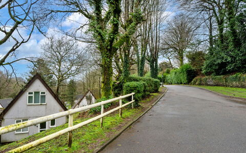 Toblerone Lodge: Rama, Árbol, Hoja, Verde, Hierba, Superficie De La Carretera, Vegetación, La Carretera, Arbusto