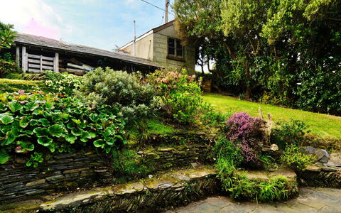 The Cuddy: Verde, Pared, Jardín, Arbusto, Planta De La Comunidad, Cobertura Del Suelo, Pared De Piedra, Primavera, Paisajismo