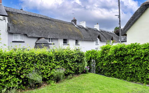 Okehampton 619: Arbusto, Cobertura, Cabaña, Jardín, Paisajismo, Cúmulo