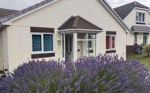 Lavender Waye: Barrio Residencial, Casa, Cabaña, Jardín, Césped, Ventana De Guillotina, Yarda, Inmuebles, Paisajismo, Suburbio