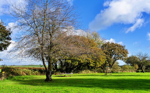Old Nog Cottage, Stowford: Azul, Rama, Hoja, Hierba, Verde, Árbol, Naturaleza, Pradera, Vegetación, Ramita
