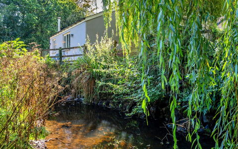 Marsh Cottage: Agua, Vegetación, Corriente De Agua, Arbusto, Planta De La Comunidad, Banco, Reflexión, Estanque, Ramita