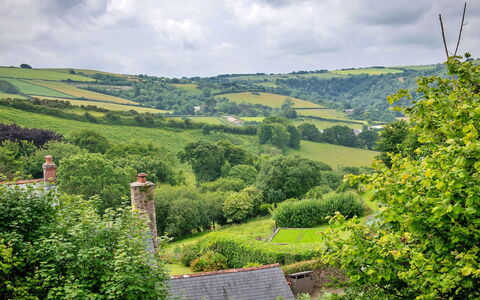 Coulscott Pipistrelle Barn: Verde, Vegetación, Paisaje Natural, Arbusto, Paisaje, Pradera, Colina, Área Rural, Tierras Altas