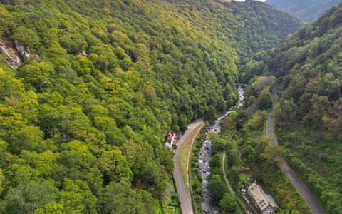 River Cottage: Naturaleza, Entorno Natural, Vegetación, Arbusto, Bosque, Paisaje, Tierras Altas, Planta De La Comunidad, Selva, Vía Pública
