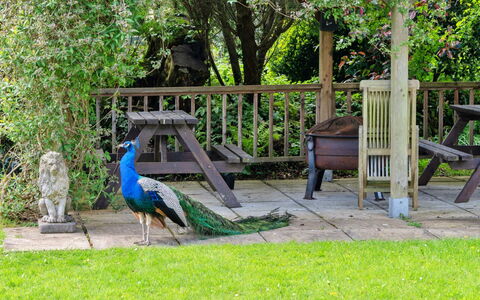 Trimstone Manor - Granary Cottage: Jardín, Banco Al Aire Libre, Césped, Yarda