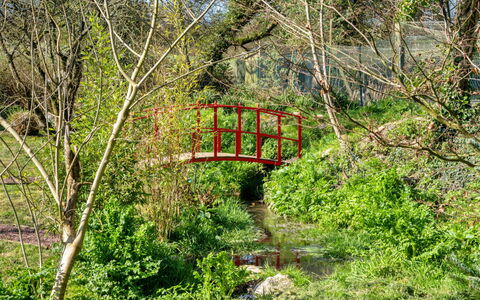 Trimstone Manor - Lee, Studio Apartment: Verde, Naturaleza, Entorno Natural, Hoja, Puente, Vegetación, Paisaje Natural, Arbusto, Planta De La Comunidad