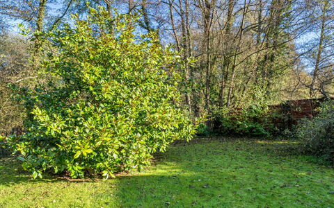 Mill Cottage, Great Houndbeare Farm: Hoja, Vegetación, Arbusto, Planta De La Comunidad, Cobertura Del Suelo, Jardín, Plantas Leñosas, Jardín Botánico