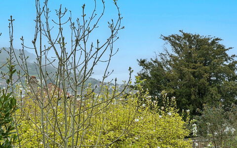 The Heselwood Coach House: Cielo, Rama, Naturaleza, Hoja, Vegetación, Amarillo, Ramita, Primavera, Plantas Leñosas
