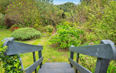 Arfron: Verde, Hoja, Naturaleza, Vegetación, Paisaje Natural, Arbusto, Planta De La Comunidad, Jardín, Cobertura Del Suelo, Reserva Natural