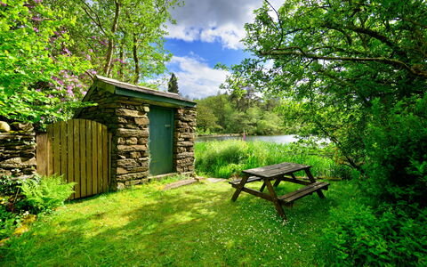 Tafarn Trip: Naturaleza, Madera, Vegetación, Paisaje Natural, Arbusto, Planta De La Comunidad, Jardín, Área Rural, Cobertura Del Suelo, Primavera