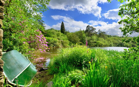 Tafarn Trip: Verde, Naturaleza, Paisaje Natural, Vegetación, Arbusto, Jardín, Verano, Corriente De Agua, Planta De La Comunidad, Banco