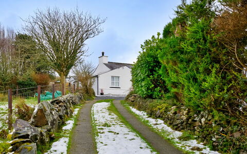Merddyn Cottage: Arbusto, Casa, Cabaña, Cobertura Del Suelo, Entrada De Coches, Pendiente, Jardín, Pueblo, Paisajismo