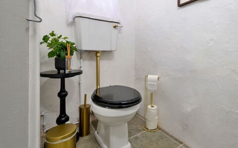 Merddyn Cottage: Asiento Del Baño, Baño, Arreglo De Tubería, Baño, Plomería, Loseta, Cerámico, Porcelana