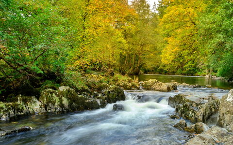 Bod Gwynedd: Agua, Los Recursos Hídricos, Cuerpo De Agua, Hoja, Naturaleza, Rama, Corriente De Agua, Verde, Corriente, Entorno Natural