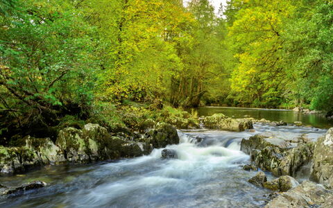 Dyffryn: Los Recursos Hídricos, Agua, Corriente De Agua, Cuerpo De Agua, Rama, Naturaleza, Hoja, Verde, Corriente, Entorno Natural