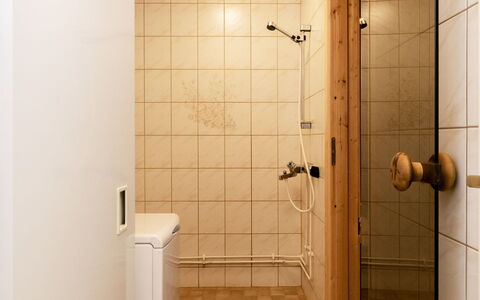 Koli Country Club B 5: Piso, Pared, Arreglo De Tubería, Baño, Suelo, Madera, Diseño De Interiores, Plomería, Habitación, Marrón