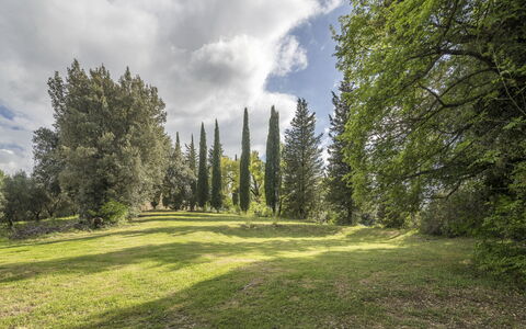 Casa Amelia, Pool, Casole Elsa, Monti: Hoja, Hierba, Árbol, Entorno Natural, Naturaleza, Verde, Rama, Vegetación, Paisaje Natural, Arbusto