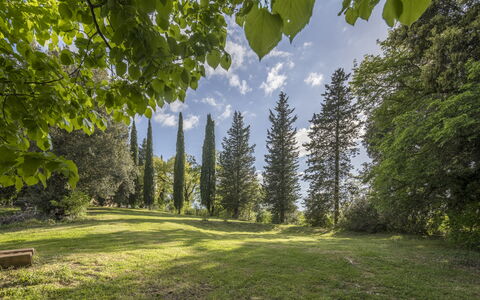 Casa Amelia, Pool, Casole Elsa, Monti: Hoja, Árbol, Naturaleza, Verde, Entorno Natural, Rama, Vegetación, Paisaje Natural, Arbusto, Planta De La Comunidad