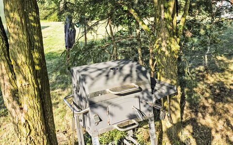 Oaza Spokoju: Bosque, Parque, Mueble Para Exteriores, Parque Estatal