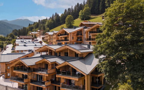 Viehhofen 1: Balcón, Maderas, Eco Hotel, Pueblo De Montaña, Hotel, Recurso, Vía Muerta, Alpes