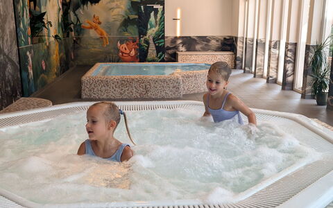 Viehhofen 1: Ocio, Comodidad, Niño, Jacuzzi, Hotel, Piscina, Recurso