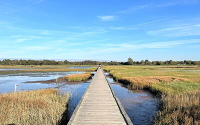 Brynja - 2.5Km from the Sea