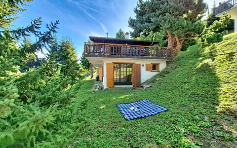Ozer: Casa, Casa, Cabaña, Jardín, Área Rural, Césped, Casa De Campo, Inmuebles, Yarda, Patio Interior