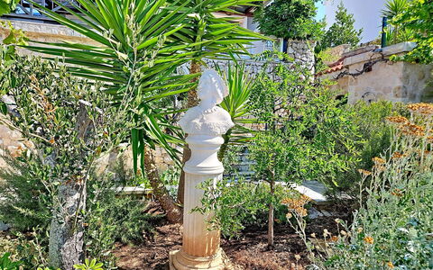 Bliss: Arbusto, Jardín, Césped Ornamento, Maceta, Columna, Paisajismo, Planta De Casa, Jardín Botánico