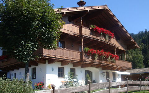 Hopfgarten im Brixental 696: Cabaña, Balcón, Pueblo, Maceta, Planta De Casa, Casa De Campo