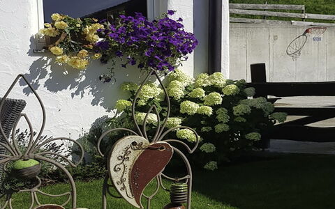 Hopfgarten im Brixental 696: Flor, Primavera, Jardín, Floristas, Maceta, Diseño Floral, Yarda, Paisajismo, Planta De Casa