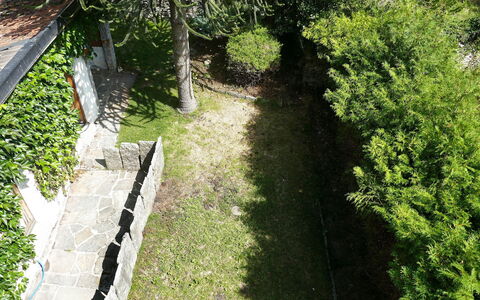 Ludiano 25: Verde, Hoja, Arbusto, Jardín, Cobertura Del Suelo, Sombra, Patio Interior, Pasarela, Yarda
