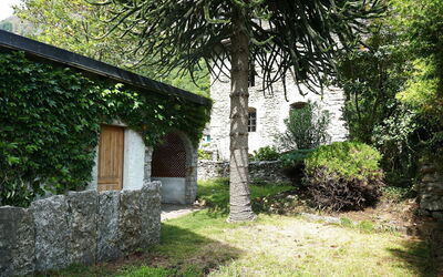 Ludiano 25: Hoja, Arbusto, Jardín, Pared De Piedra, Sombra, Patio Interior