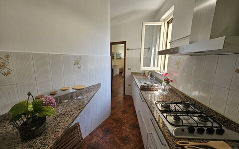 Alla Terrazza sul Fiume: Piso, Madera, Diseño De Interiores, Suelo, Cocina, Mostrador, Electrodoméstico, Habitación, Encendiendo, Aparato De Cocina