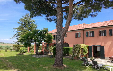 Ca' Rustica: Arbusto, Inmuebles, Hacienda, Jardín, Paisajismo, Yarda, Césped, Entrada De Coches, Sombra, Villa