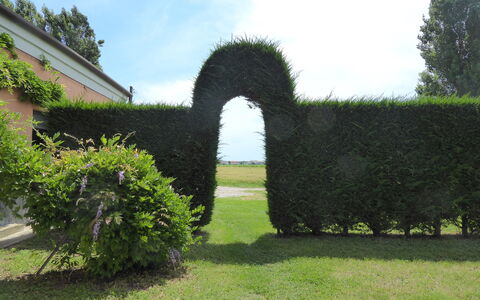 Ca' Rustica: Arbusto, Cobertura, Jardín, Paisajismo, Césped, Hojas Perennes, Plantación