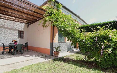 Ca' Rustica: Sombra, Jardín, Patio Interior, Yarda, Hacienda, Paisajismo, Eco Hotel, Patio, Estructura Al Aire Libre, Casa De Campo