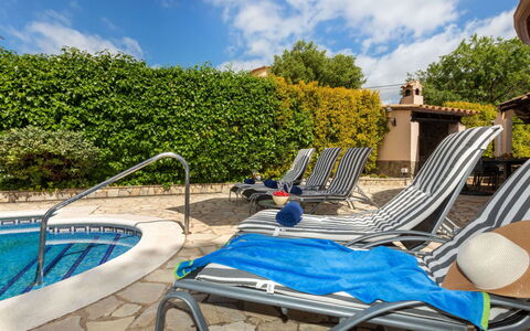Marsa: Vegetación, Arbusto, Primavera, Cabaña, Jardín, Sombra, Patio Interior, Yarda, Silla