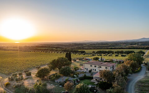 Villa Bellaria, Private Pool, Bolgheri: Paisaje, Llanura, Horizonte, Pradera, El Terreno Del Lote, Área Rural, Ecorregión, Campo, Agricultura, Plantación