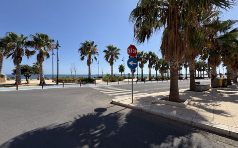 Appartamento Il Vulcano: Árbol, Luz De La Calle, Sombra, Acera, Pasarela