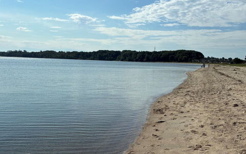 Fabian - 300M from the Sea: Madera, Mueble, Departamento, Habitación, Techo, Manchas De Madera, Silla, Madera Dura, Barniz, Maderas