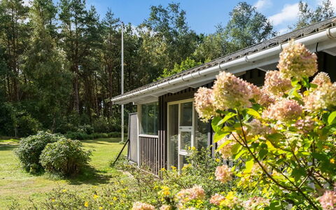Fritzy - 1.5Km from the Sea: Vegetación, Arbusto, Casa, Cabaña, Casa, Jardín, El Terreno Del Lote, Planta De La Comunidad, Cobertura Del Suelo, Primavera