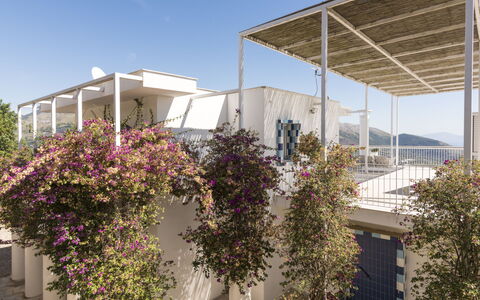Capri: Balcón, Departamento, Sombra, La Luz Del Día