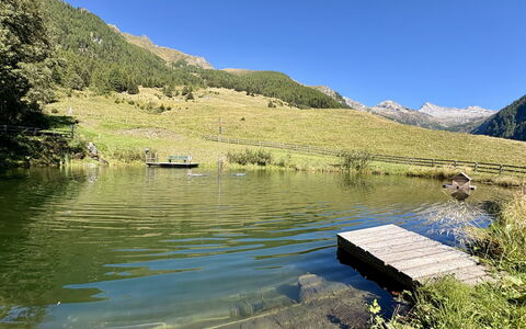 Dösentaler Bergidyll: Verano, Paisaje, Tierras Altas, Corriente De Agua, Banco, Lago, Cordillera, Tarn, Valle, Reservorio
